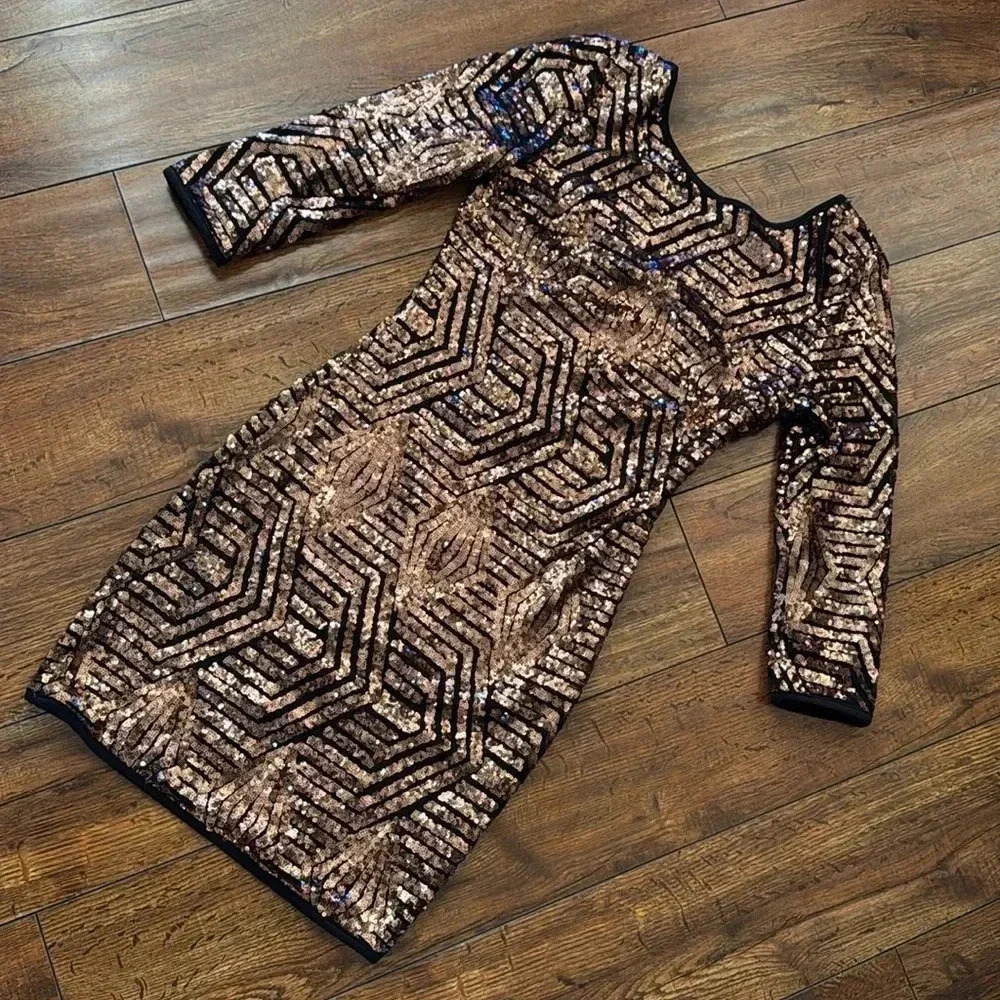 Windsor Squins body fit Dress